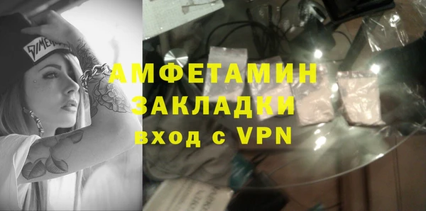 хмурый Гусь-Хрустальный