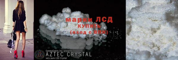 стаф Гусев