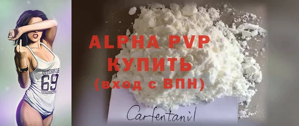 дурь Гусиноозёрск