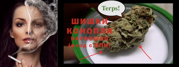 стаф Гусев