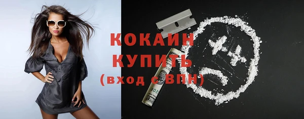 стаф Гусев