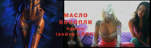 хмурый Гусь-Хрустальный