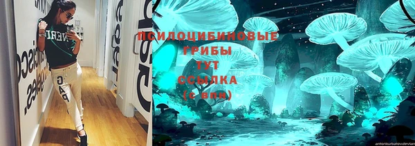 дурь Гусиноозёрск