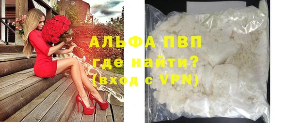 стаф Гусев