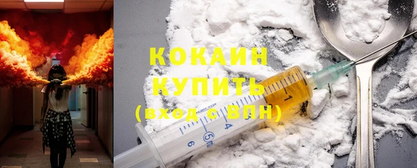 хмурый Гусь-Хрустальный
