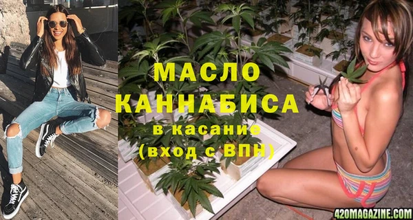 хмурый Гусь-Хрустальный