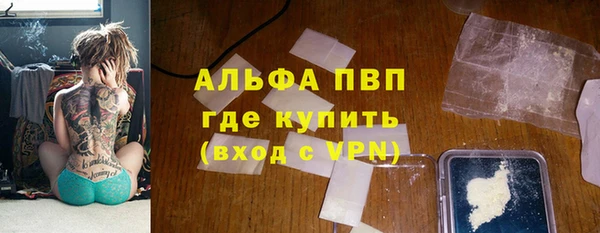 стаф Гусев