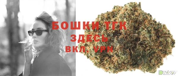 дурь Гусиноозёрск