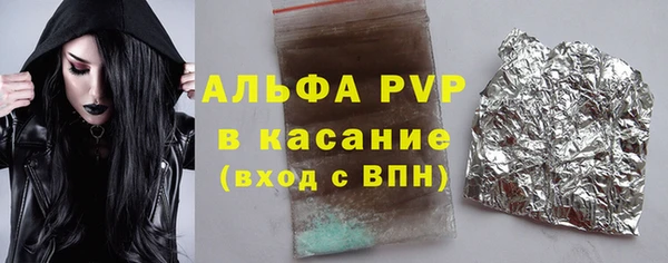 хмурый Гусь-Хрустальный