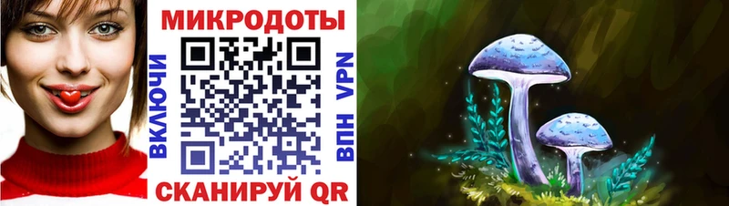 Купить Сальск Псилоцибиновые грибы MAGIC MUSHROOMS